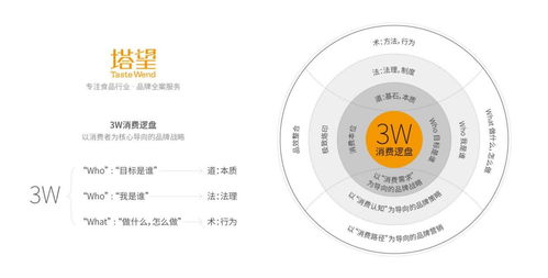塔望核心業(yè)務介紹 食品品牌咨詢、品牌策劃與健康咨詢服務的專業(yè)體系