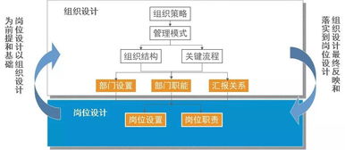 管理升級落地咨詢服務 組織設計與權責體系優(yōu)化實操指南